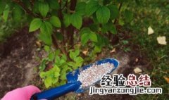 什么肥料膨大快 果实膨大期应该如何施肥