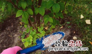 什么肥料膨大快 果实膨大期应该如何施肥