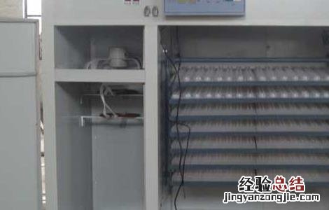 孵化设备有哪些特点 孵化设备有哪些特点和作用