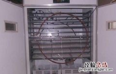 孵化设备有哪些特点 孵化设备有哪些特点和作用