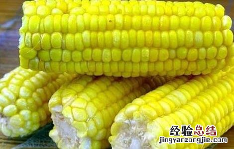 玉米的营养价值 玉米的营养价值和功效