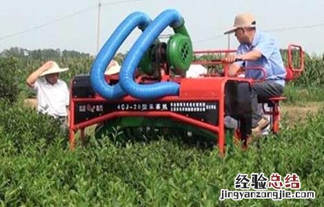 采茶机的类型有哪些 采茶机的类型有哪些
