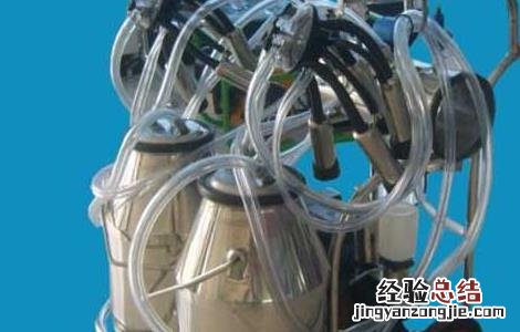 挤奶机的操作流程及注意事项有哪些 挤奶机的操作流程及注意事项