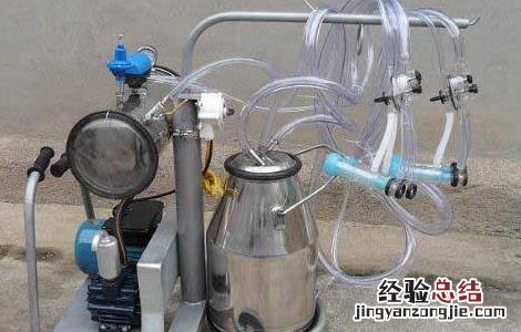 挤奶机的操作流程及注意事项有哪些 挤奶机的操作流程及注意事项