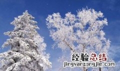 描述冬天的雪句子 描写冬天雪的优美句子有哪些