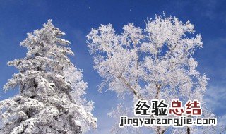 描述冬天的雪句子 描写冬天雪的优美句子有哪些