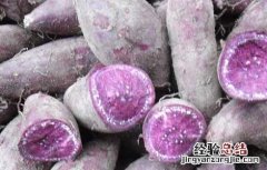紫薯的营养价值和红薯一样吗 紫薯的营养价值