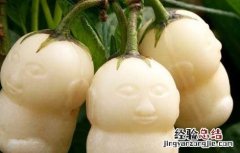 人参果的功效与作用 人参果的功效与作用及营养价值