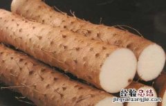 山药的功效与作用禁忌与副作用有哪些 山药的功效与作用