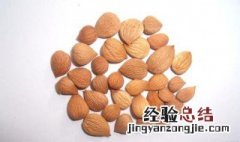 野杏仁如何食用 野杏仁如何食用效果最好
