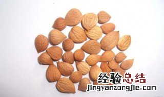 野杏仁如何食用 野杏仁如何食用效果最好