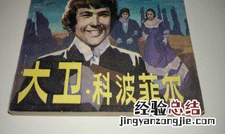 大卫科波菲尔故事梗概 大卫科波菲尔读后感