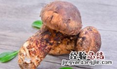 吃姬松茸的好处 吃姬松茸有什么好处