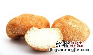 猴头菇煲汤的功效与作用禁忌 猴头菇煲汤的功效与作用