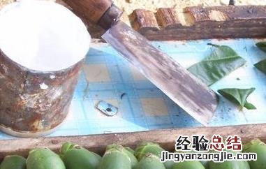 槟榔吃了有什么好处 枸杞槟榔吃了有什么好处