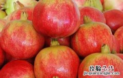 石榴的功效与作用 石榴的功效与作用及营养