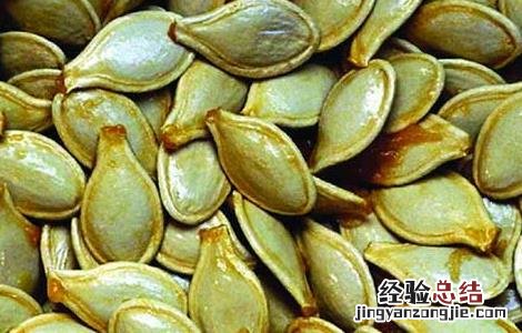 南瓜子的功效与作用 南瓜子的功效与作用和副作用