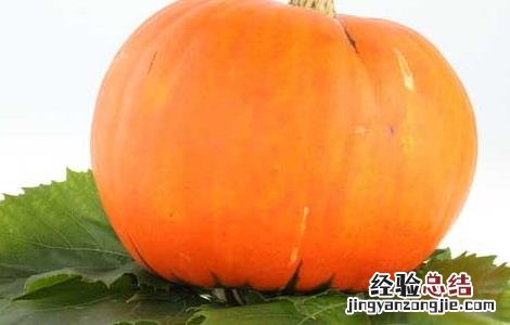 南瓜的功效与作用禁忌 南瓜的功效与作用