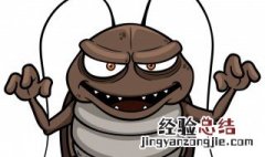 肥皂水真的可以杀蟑螂吗视频 肥皂水真的可以杀蟑螂吗