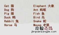 零基础背诵英语单词的技巧 零基础如何背单词