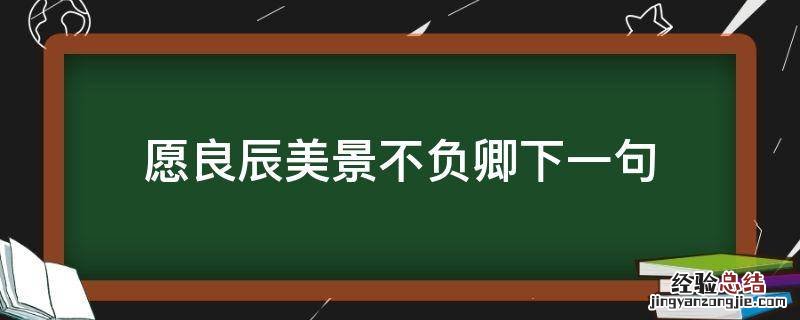 愿良辰美景不负卿下一句 良辰美景不负卿是什么意思