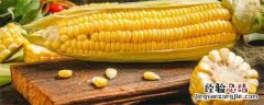 伟科966玉米种价格零售价格 伟科966玉米品种介绍