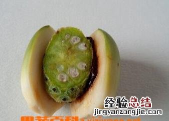 吃槟榔的坏处 男性吃槟榔的坏处