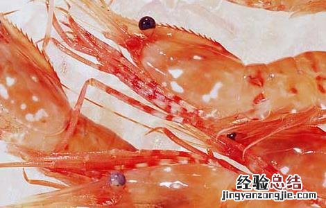 虾的营养价值 虾的营养价值及功效和禁忌