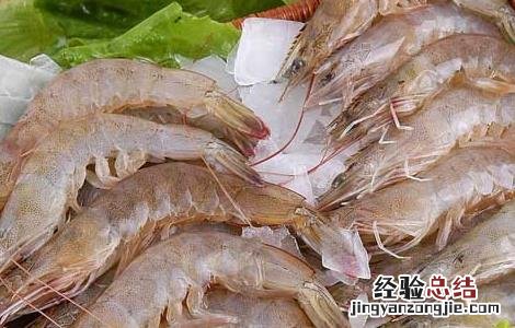 虾的营养价值 虾的营养价值及功效和禁忌