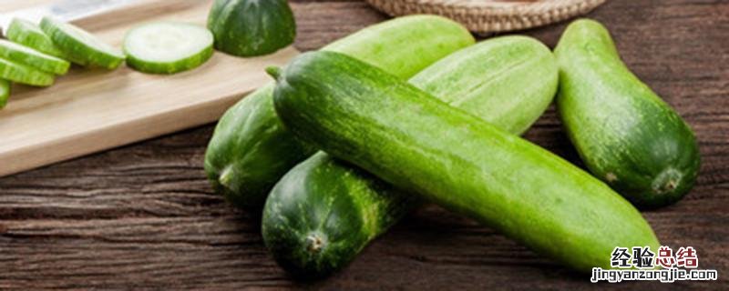 早春黄瓜什么时候播种 春季黄瓜什么时候播种