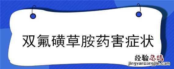 双氟磺草胺毒性 双氟磺草胺药害症状