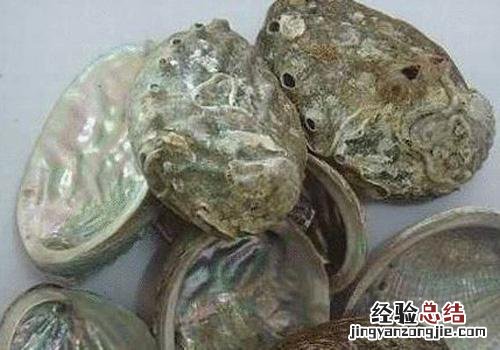 石决明的营养价值