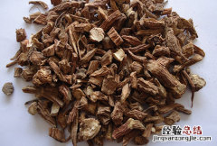 续断的功效与作用禁忌 续断