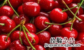 怎样用车厘子给宝宝做辅食 用车厘子给宝宝做辅食的方法