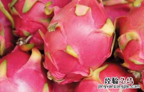 火龙果的功效与作用及禁忌人群 火龙果的功效与作用及禁忌