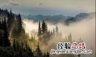 雾是什么物态变化 雾是液化物态变化