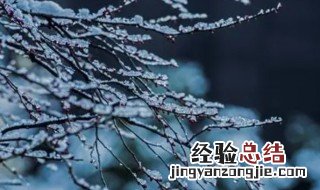 早梅原文翻译 早梅诗翻译