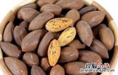 香榧的营养价值 香榧的营养价值和功效与作用