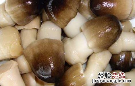 草菇的营养价值 草菇的营养价值及功效与作用