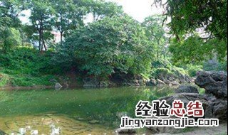小石潭记是永州八记中的第几篇 小石潭记是永州八记的第五篇