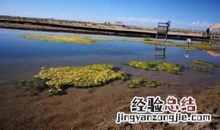 中国最大的咸水湖是 中国最大的咸水湖是什么地方