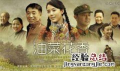 詹福禄是什么电视剧 《油菜花香》詹福禄