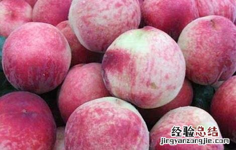 桃子的功效与作用及禁忌每天可以吃几个桃子 桃子的功效与作用及禁忌