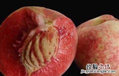 桃子的功效与作用及禁忌每天可以吃几个桃子 桃子的功效与作用及禁忌