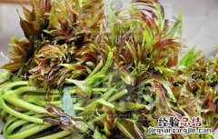 香椿的功效与作用及食用方法 香椿的功效与作用及食用禁忌
