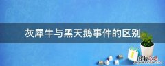 灰犀牛与黑天鹅事件的区别 什么是黑犀牛和那个灰天鹅事件