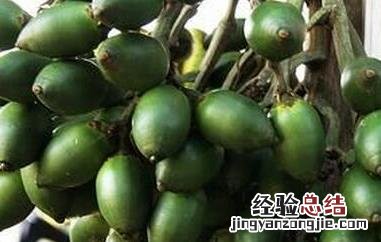 吃槟榔为什么会出汗 吃槟榔为什么会出汗多