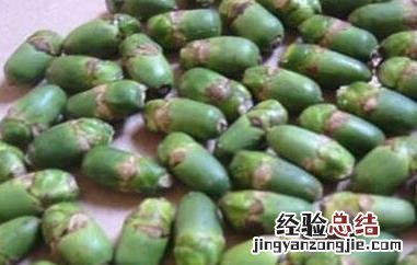 槟榔的危害与好处 槟榔的危害