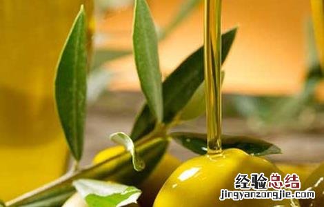 橄榄油怎么护发效果最好 橄榄油怎么护发