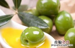 橄榄油去黑头的方法 用橄榄油去黑头的方法